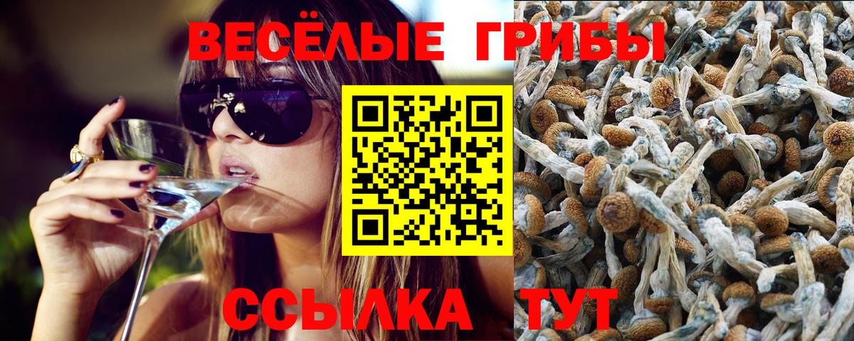 Галлюциногенные грибы Cubensis  Галлюциногенные грибы ЛСД  цены наркотик  Вход с VPN  Лыткарино 